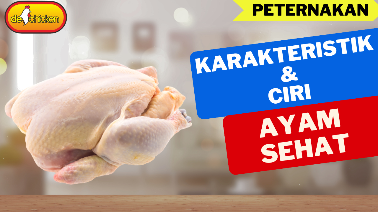 Karakteristik Daging Ayam